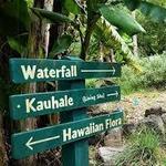 Waimea Valley