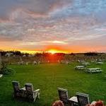 Palmer Vineyards