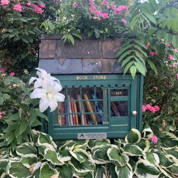 Help us fund our own Little Free Library!