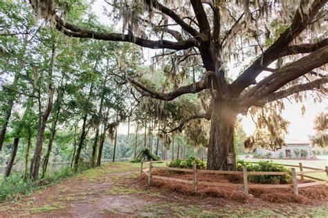 The Wedding Website of Allison Whitcomb and Nick Vultaggio