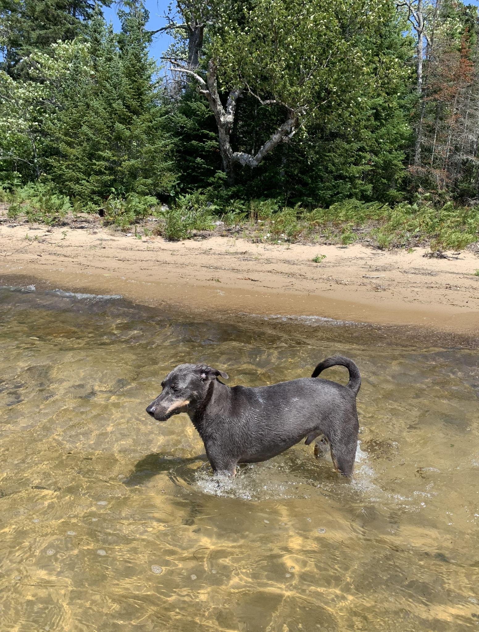 The Wedding Website of Elijah Lizzadro and Hannah Elberson