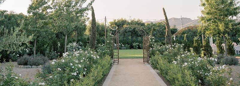 The Wedding Website of Emily Armstrong and Parker Dubreuil
