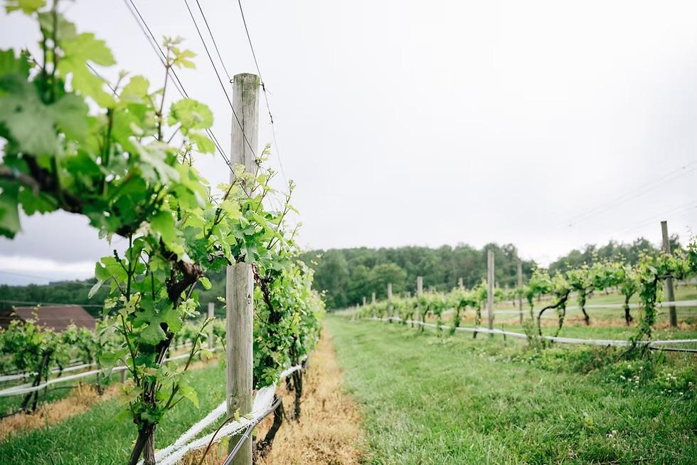 The Wedding Website of Jeremy Wright and Ara Jo