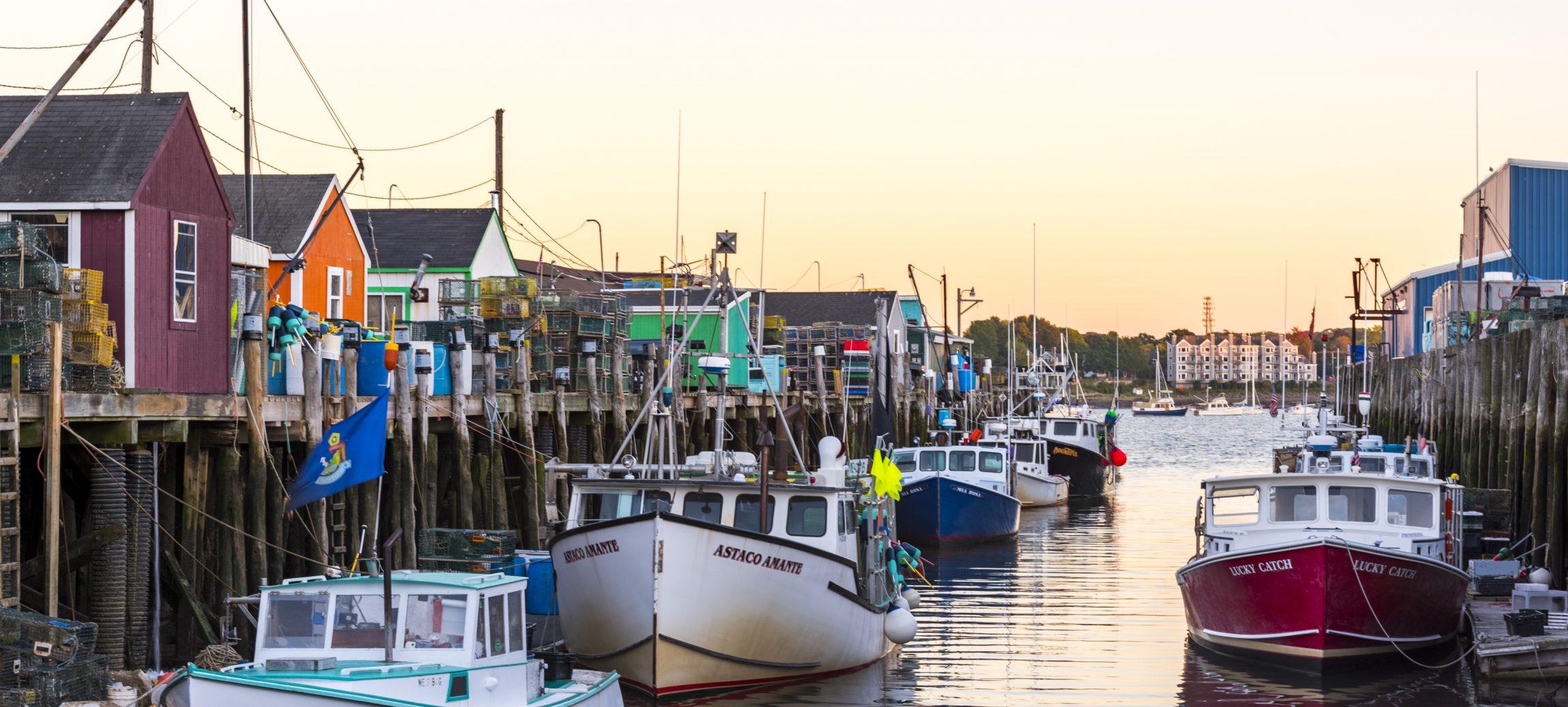 The Wedding Website of Heather Hodson and Griffin Py