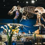 Orlando Science Center