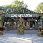 Zoo Atlanta