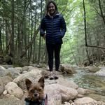 White Mountain National Forest