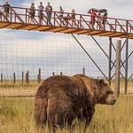 Wild Animal Sanctuary