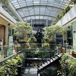 Centro Comercial Oviedo