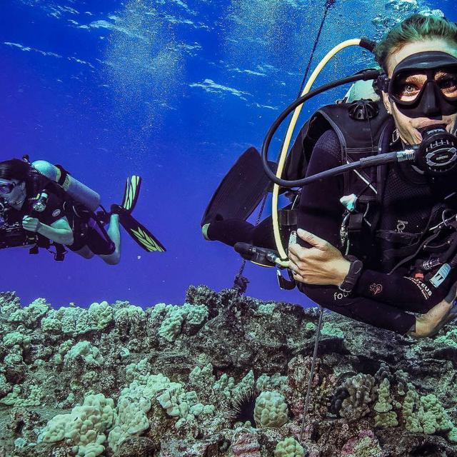 Honeymoon Scuba Diving