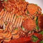 Comida