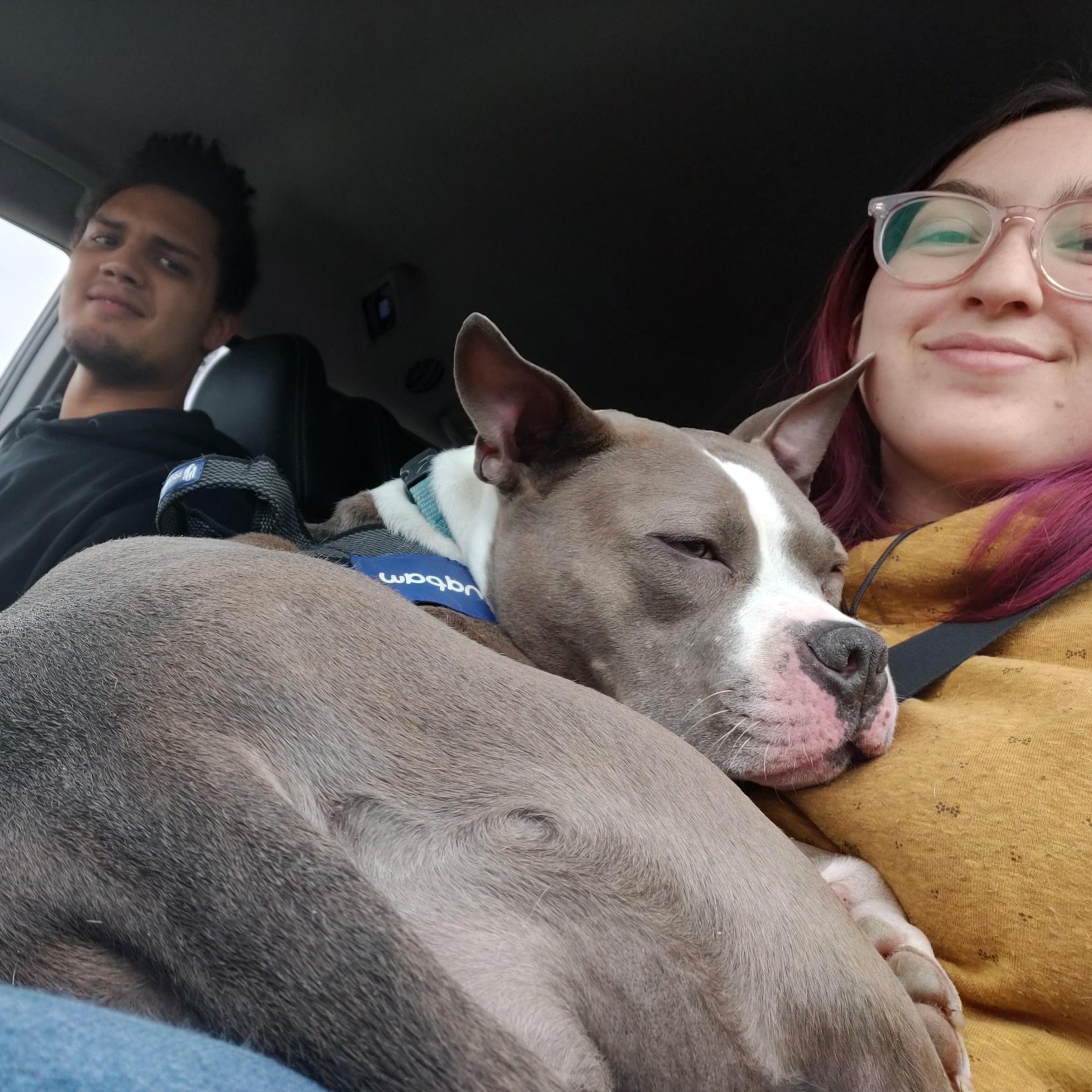 Driving 13 hours to officially move Lizzy from New York to Wisconsin after signing our first lease together. October 2020