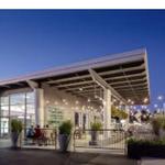 Lone Pine Brewing Company