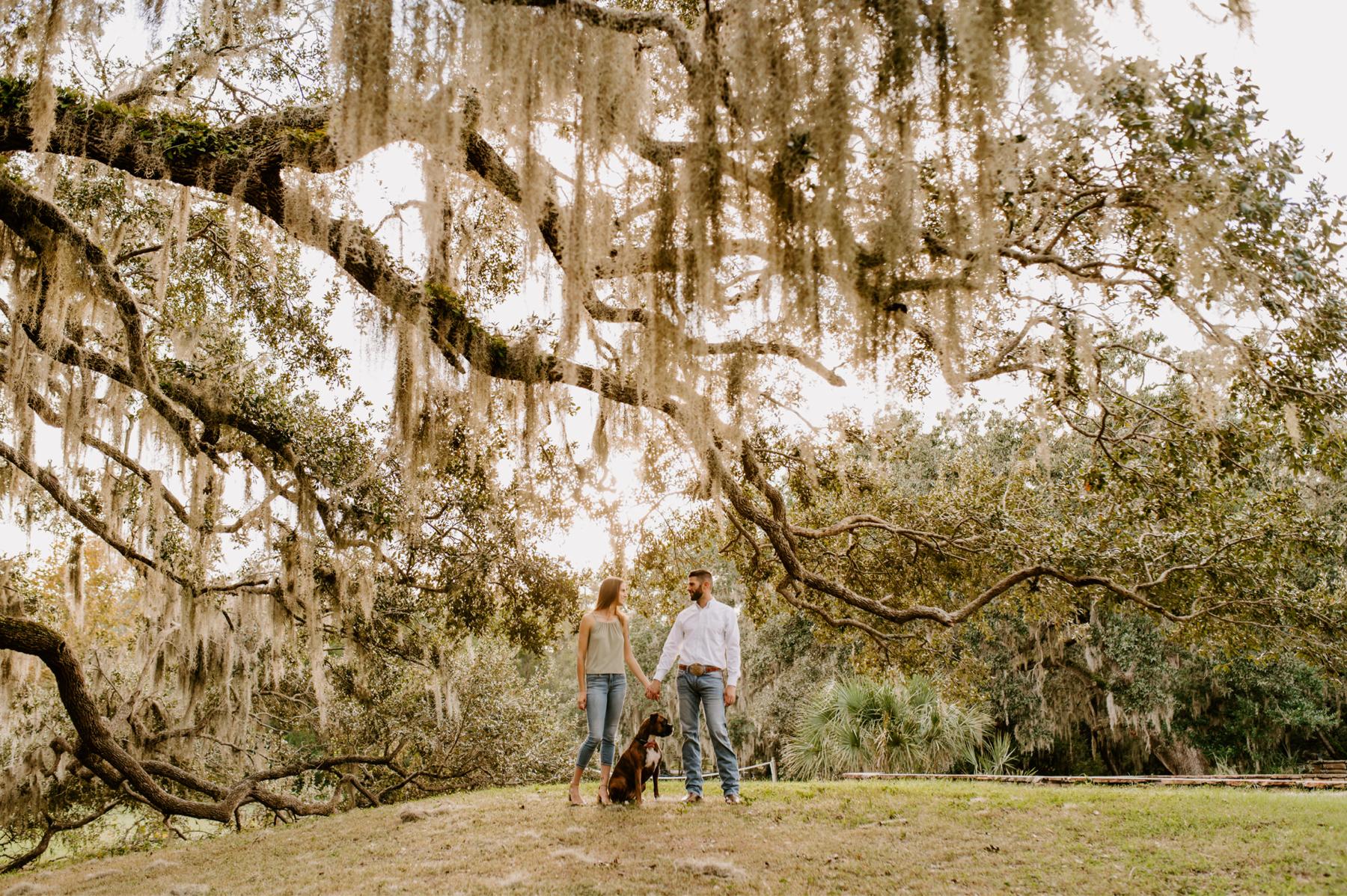 Engagement session, Nov 2022