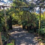 Mountain Thunder Coffee Plantation