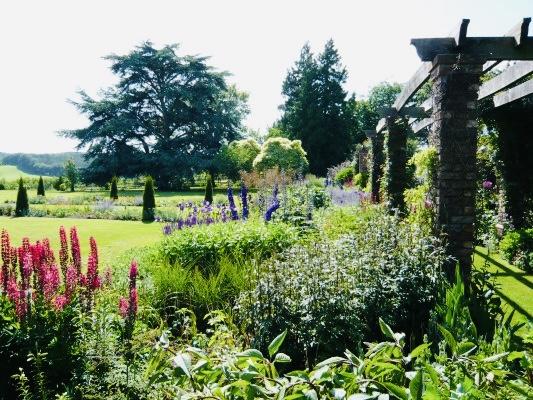 The Wedding Website of Oliver Farnese and Rachel Ryan