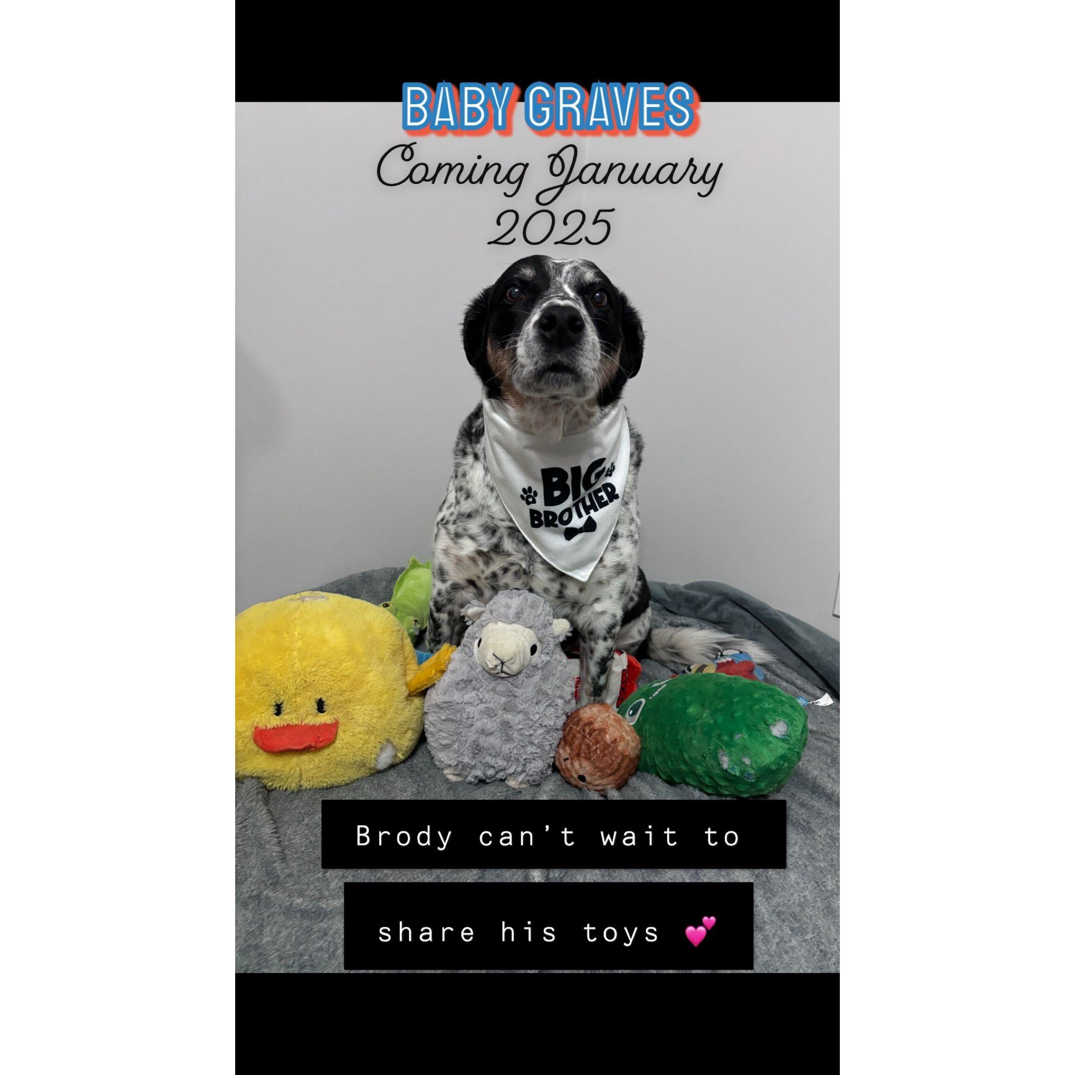 June 2024 - Brody is going to be a big brother!