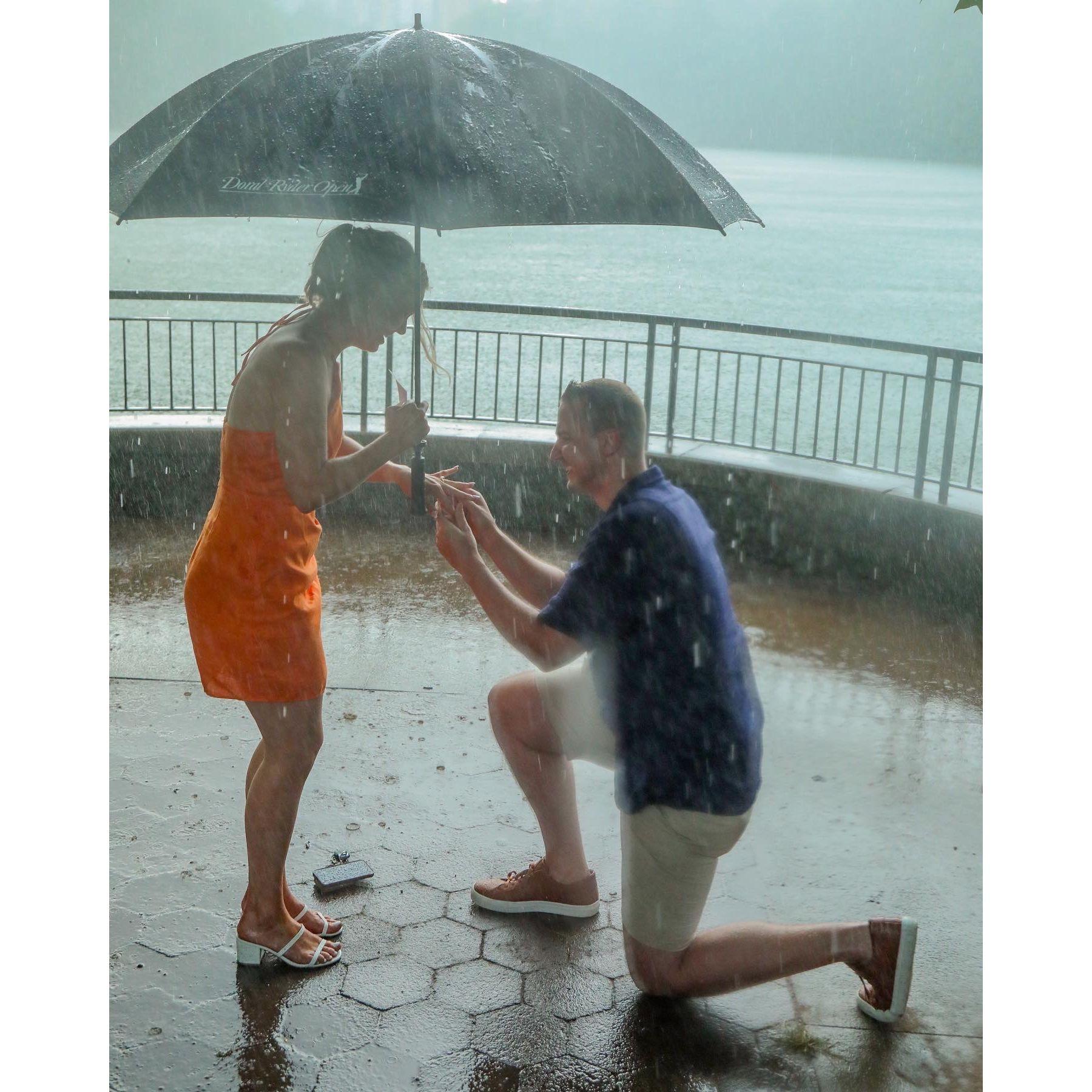 The proposal