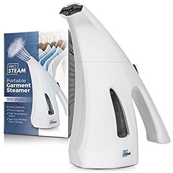 Portable Steamer