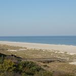 The Beach