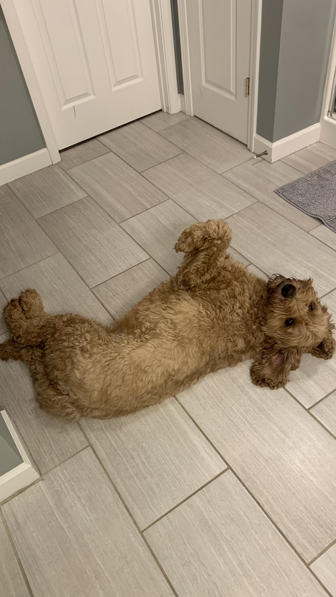 Fozzie clowning around!