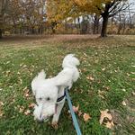 Cherokee Park
