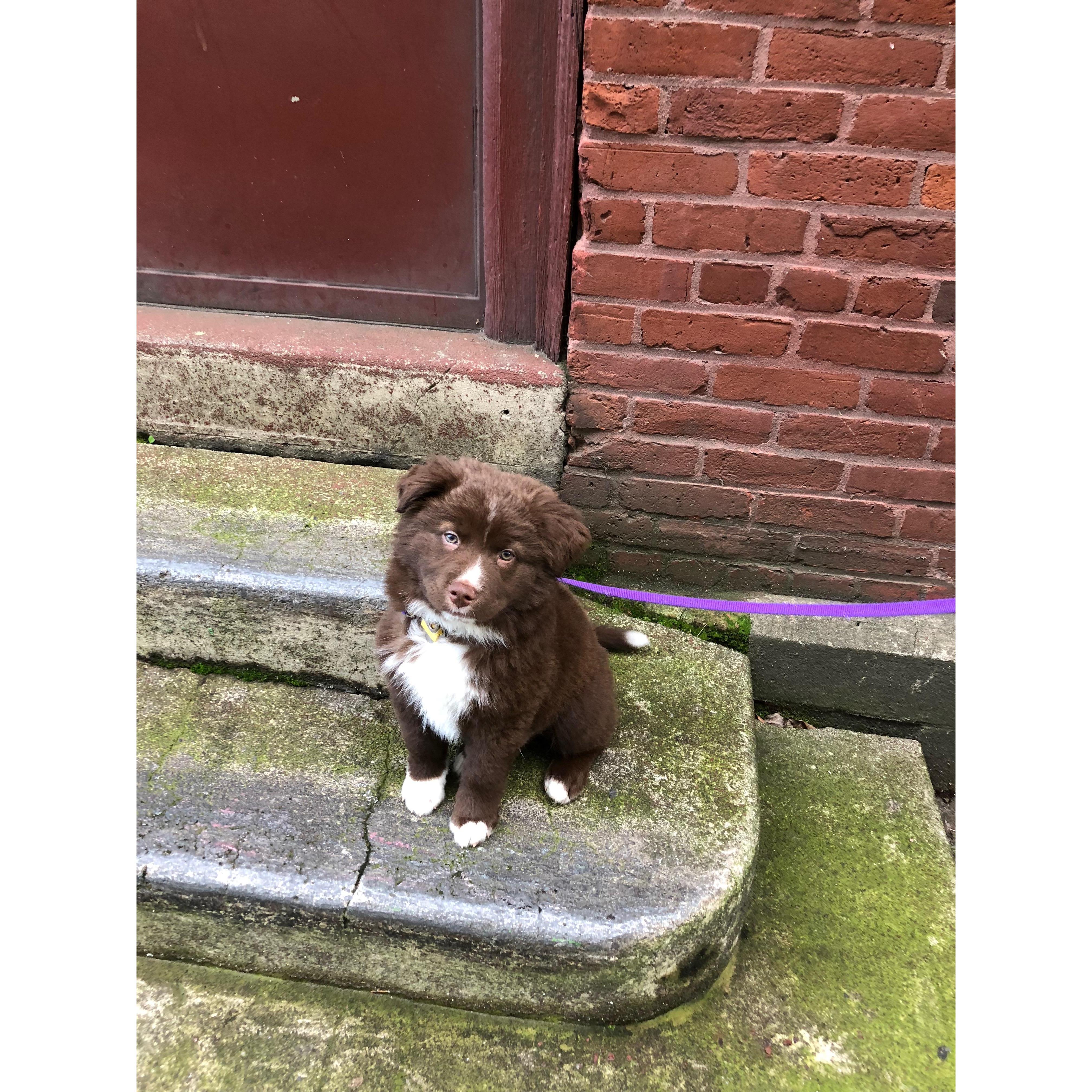 Our second born, Hudson