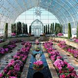 Como Park Zoo & Conservatory