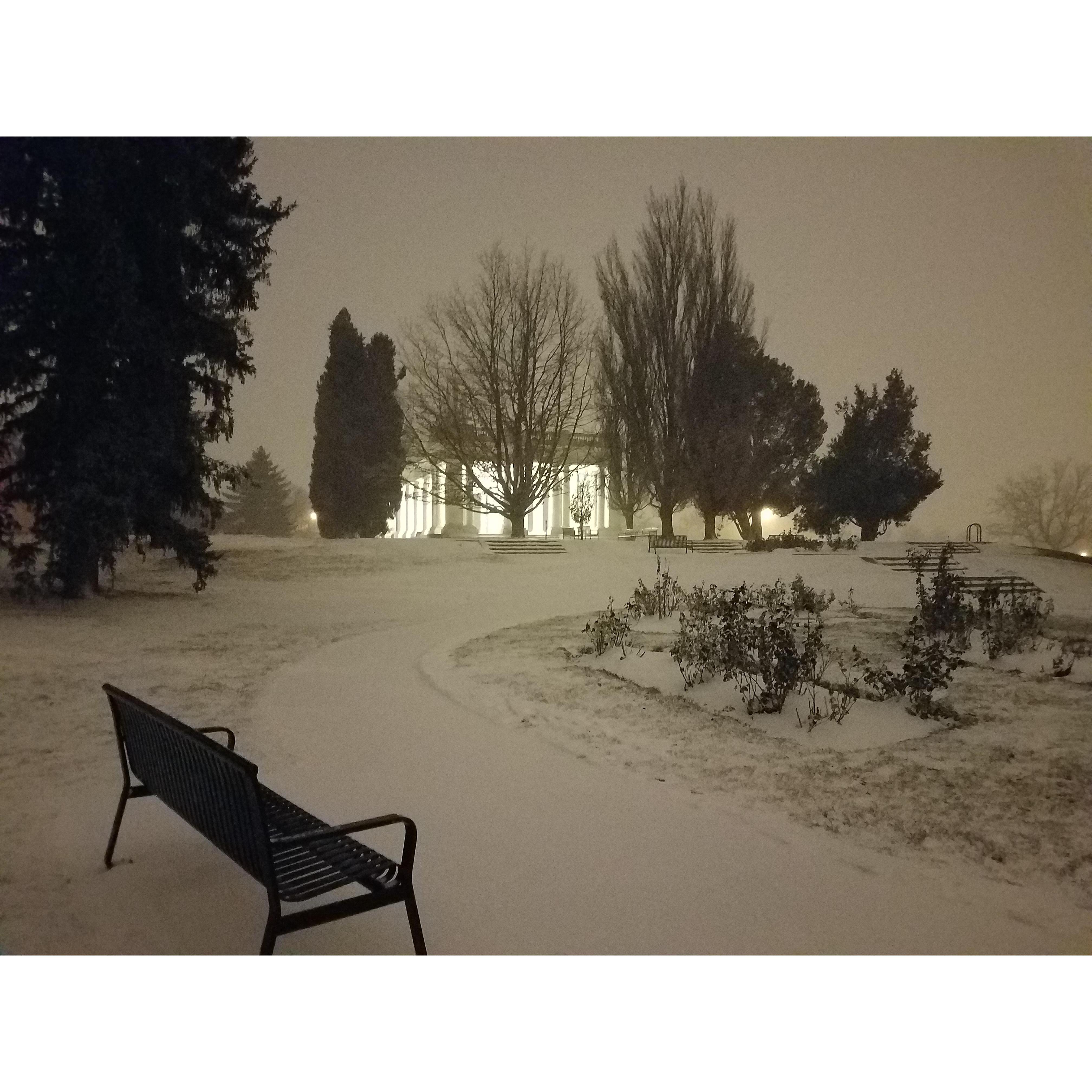 A snowy night at cheeseman park, near our first little pad together in Denver. Many walks were enjoyed here.