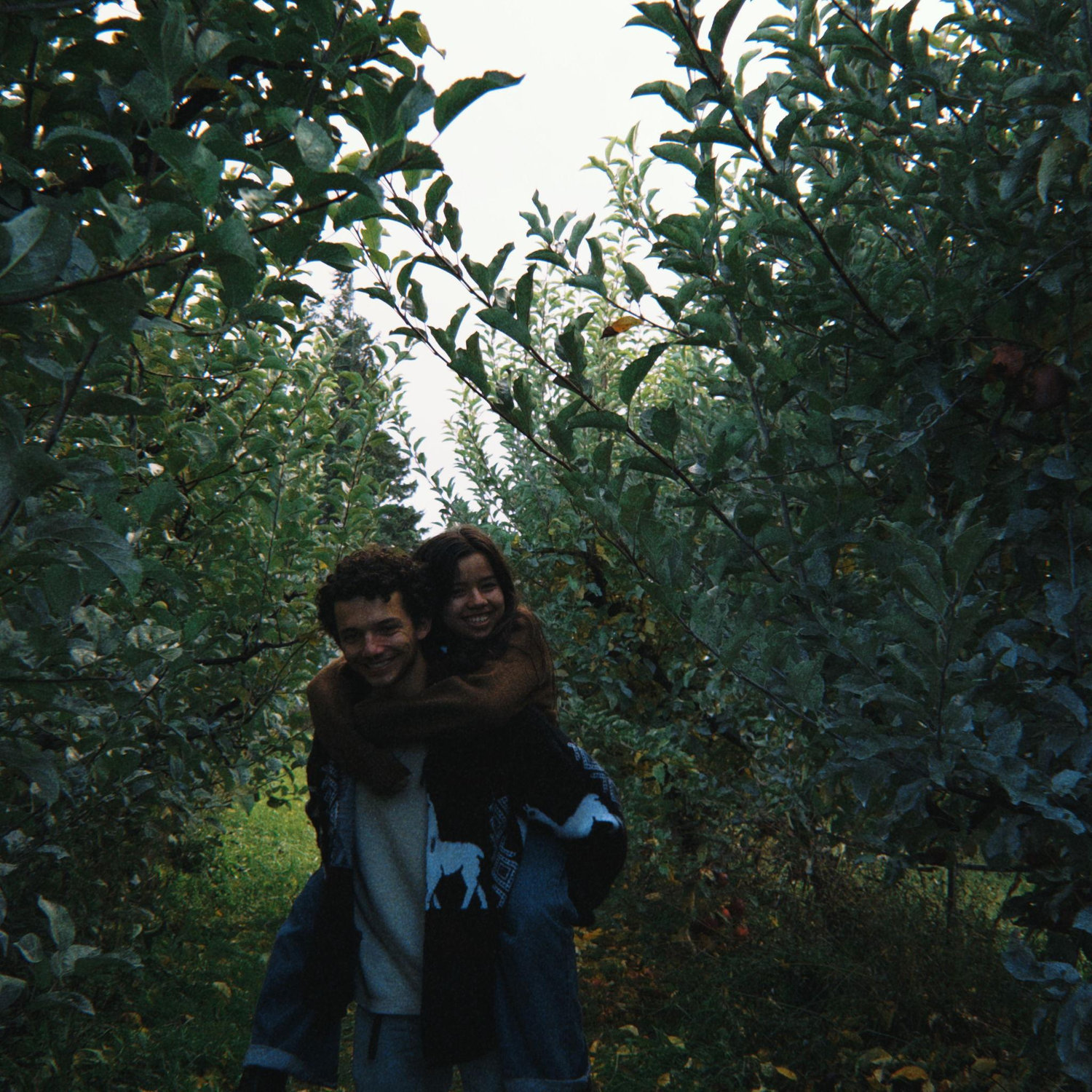 Hood River Apple Orchards