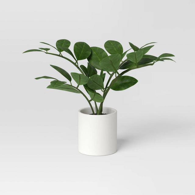 10.5" Small Tabletop ZZ Artificial Plant - Threshold™