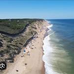Wellfleet Beachcomber