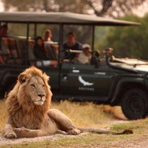 African Safari Game Drives