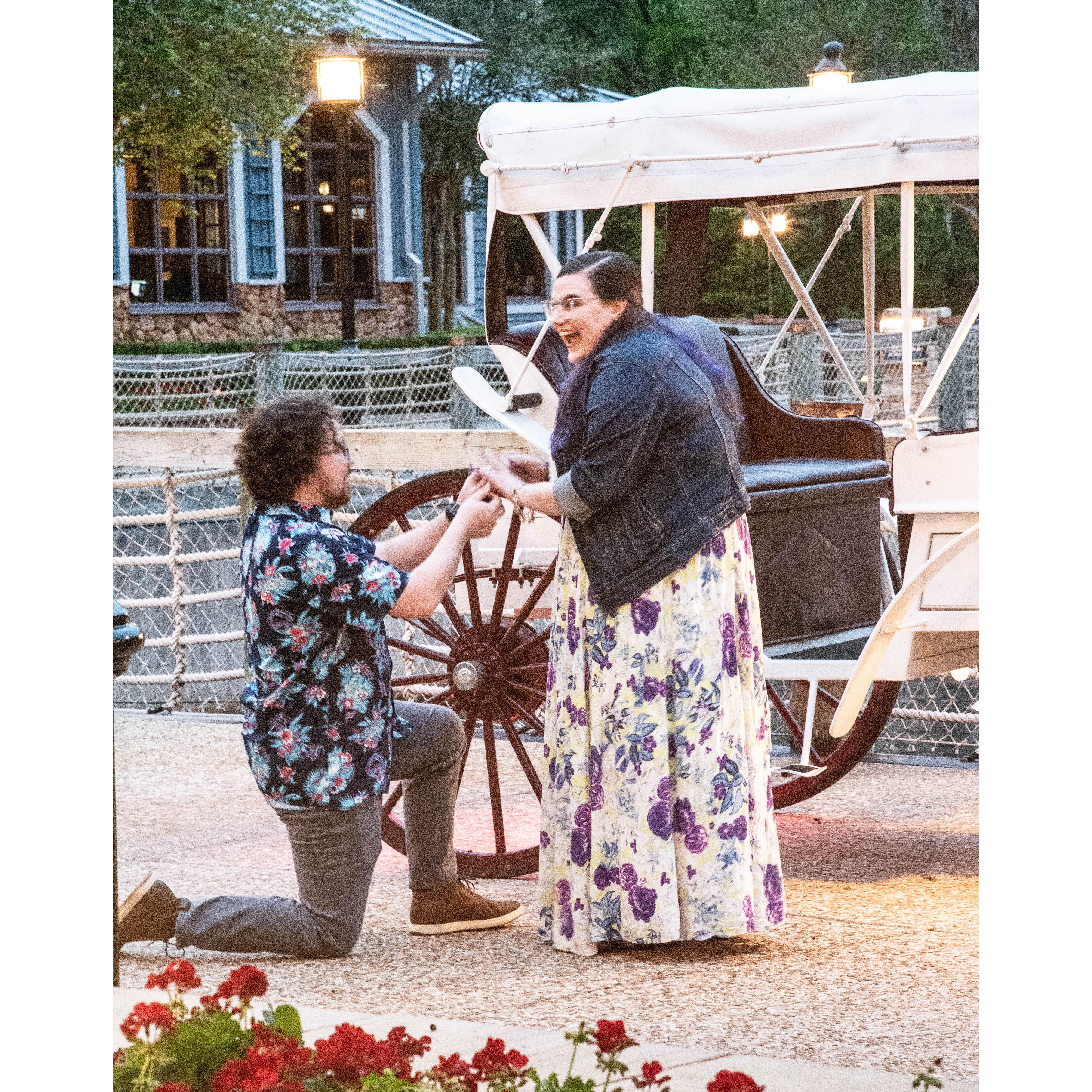 A horse drawn carriage ride around Disney's New Orleans Riverside Resort, followed by a surprise proposal