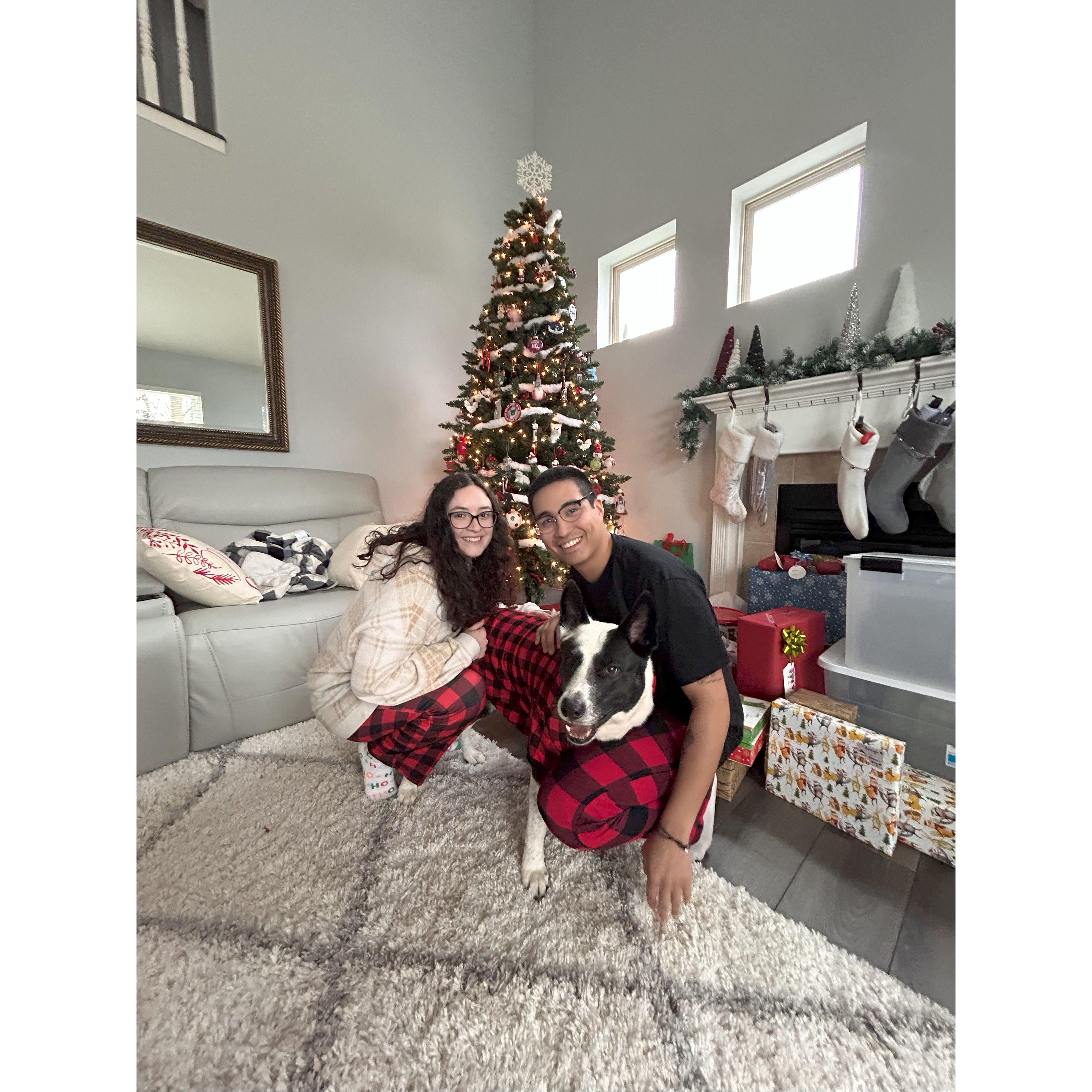 Christmas with Strider!