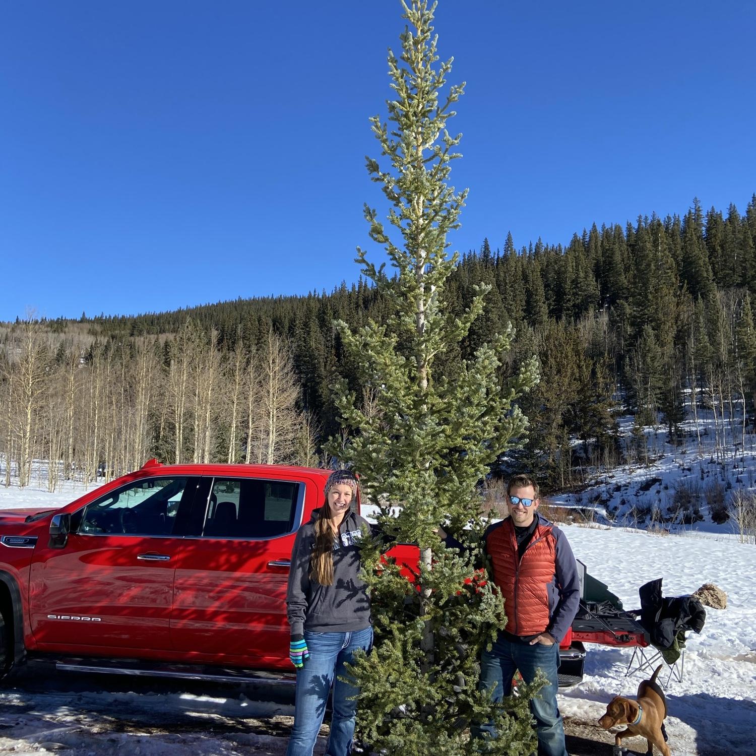 Annual Christmas Tree Hunting