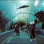New England Aquarium
