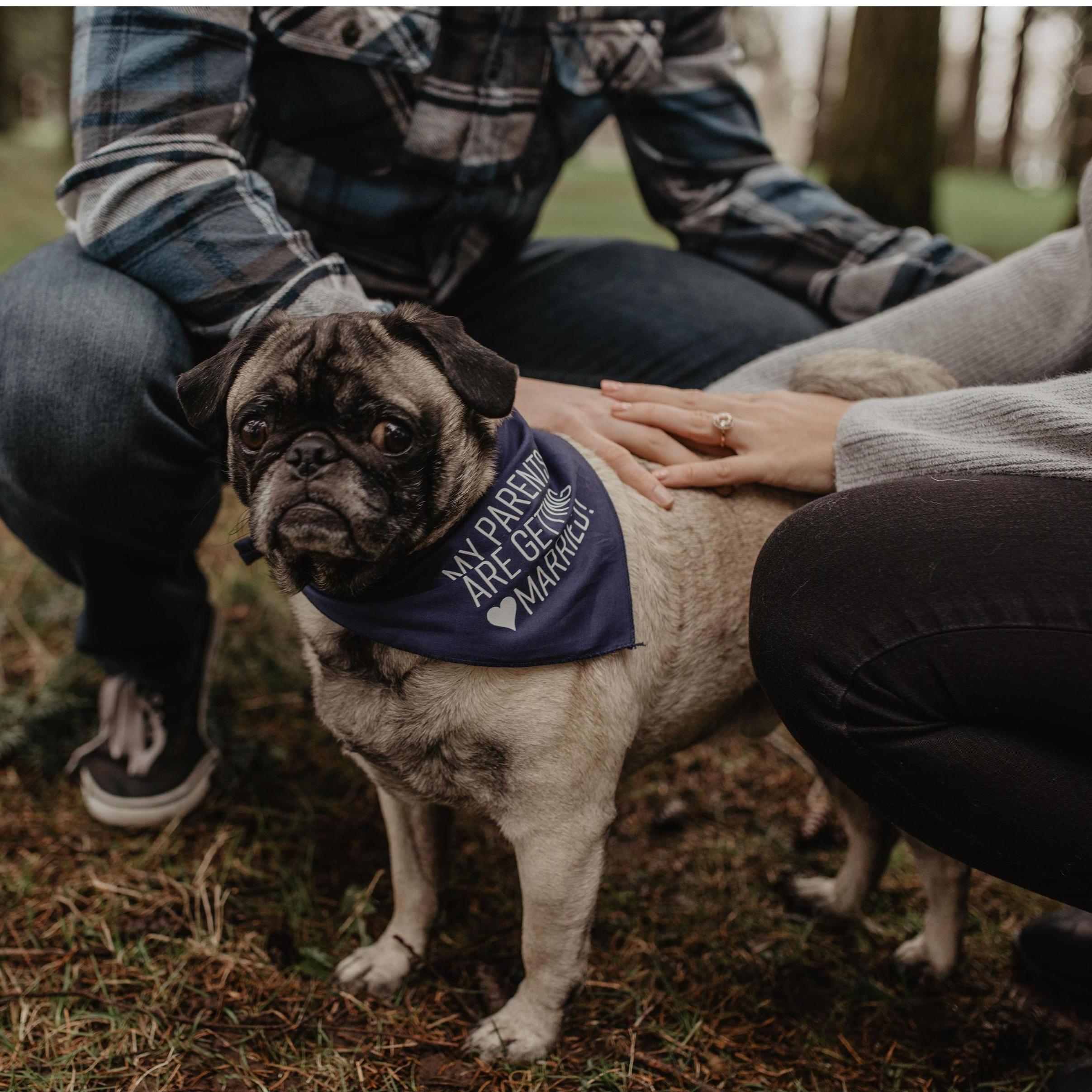 Ollie's parents are getting married!