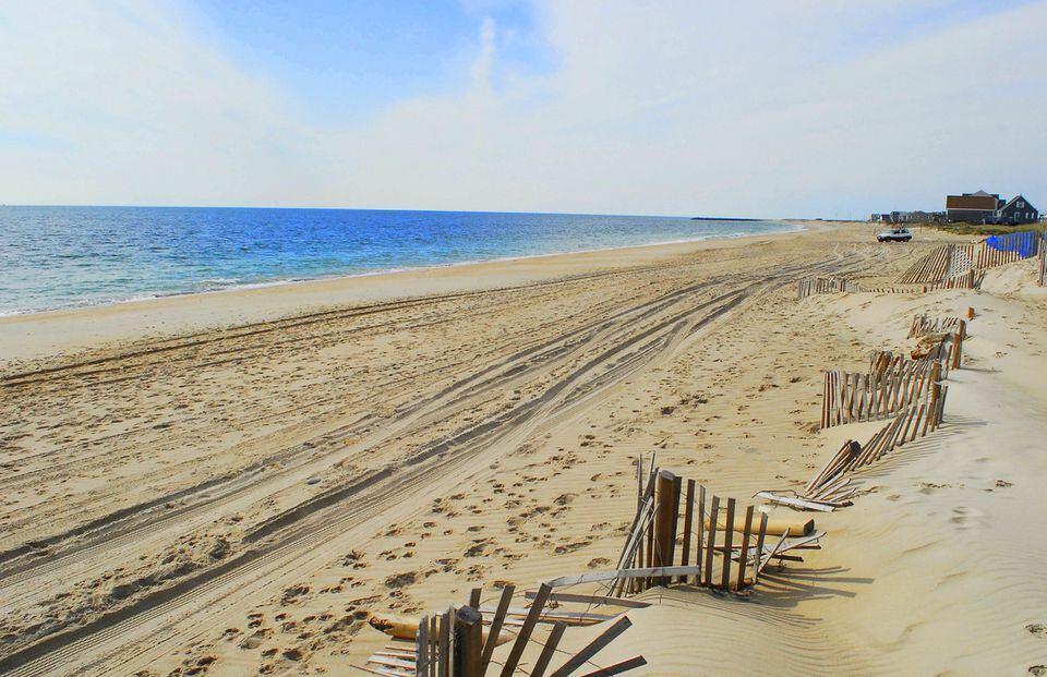 The Wedding Website of Faith Nicholas and Peter Quattromani