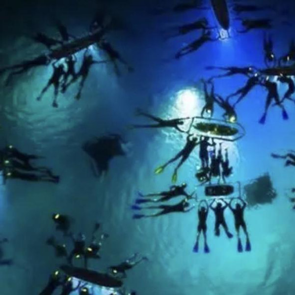 Manta Ray Night Snorkel in Hawaii