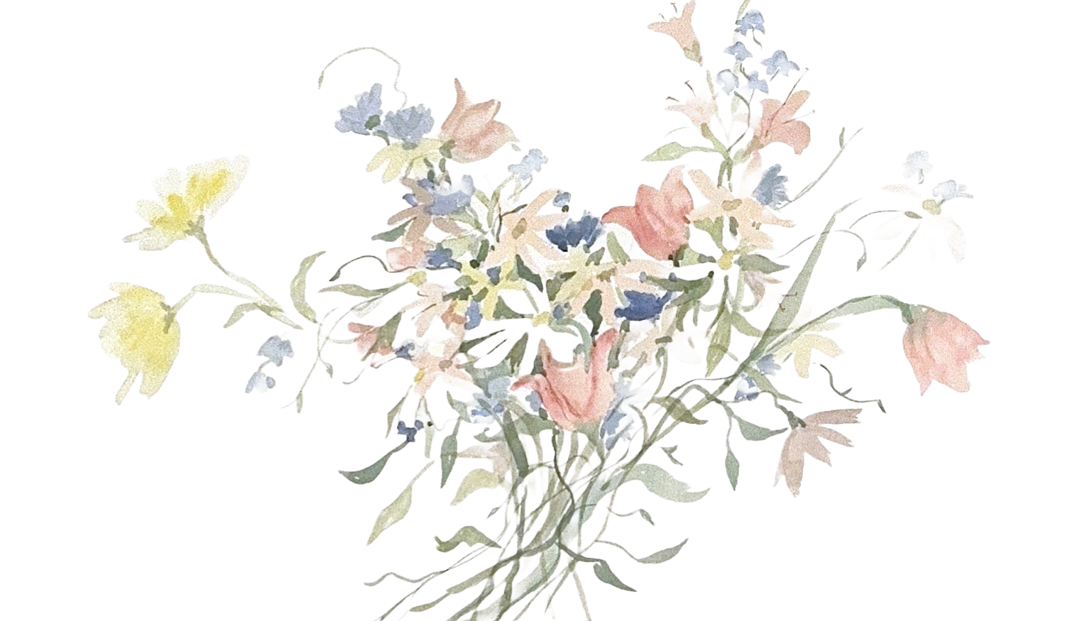 Footer image