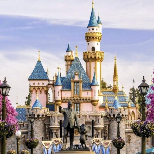 Our Disneyland Fund