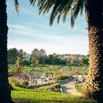 Mission Dolores Park