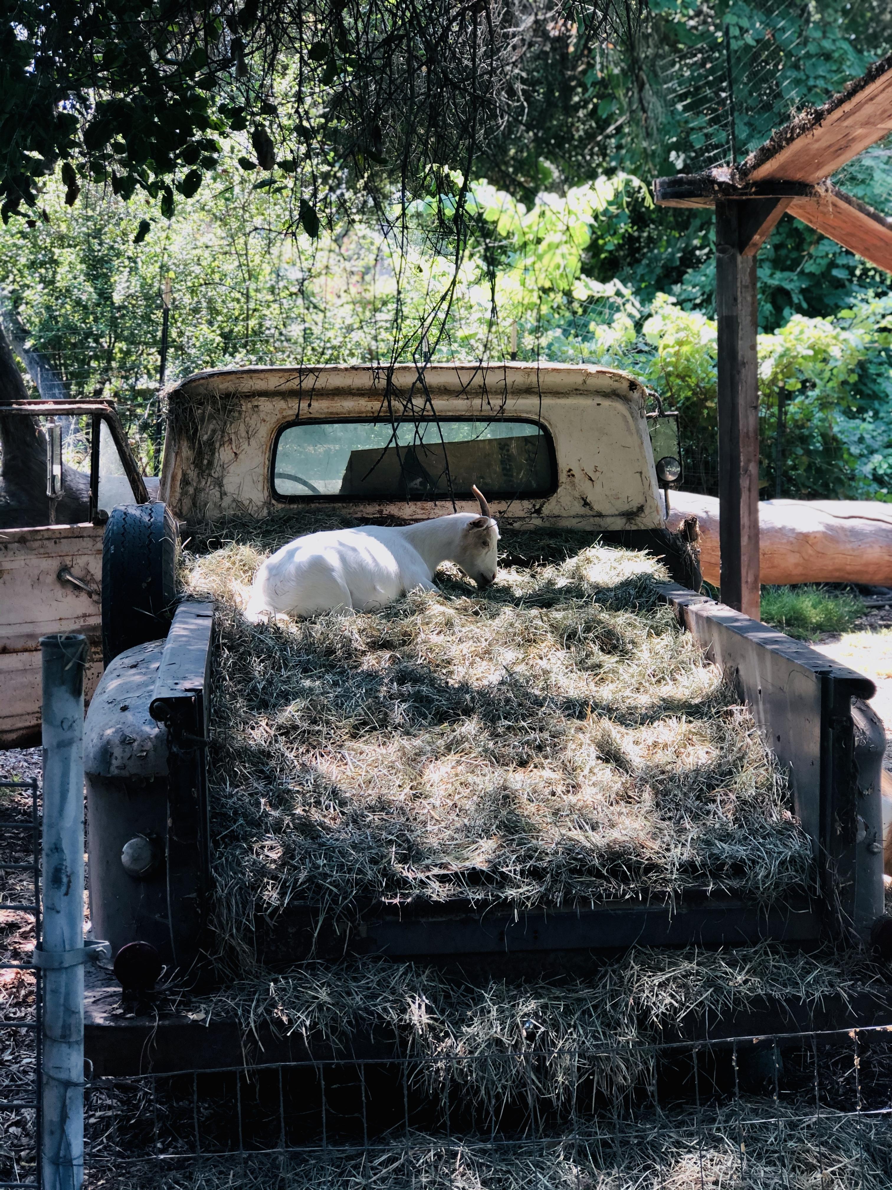 The Wedding Website of Sarah Meinardus and Noah Smith