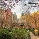Rittenhouse Square