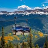 Scenic Gondola