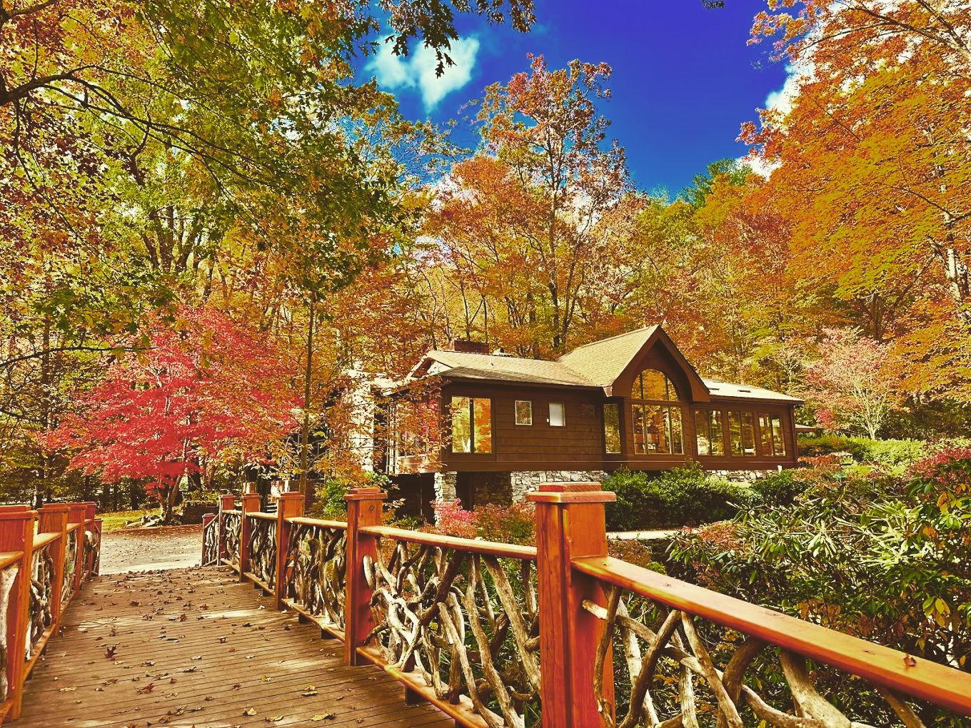 The Wedding Website of David Huber and Abby Gallegos