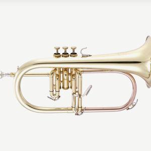 Charlie's new Flugelhorn