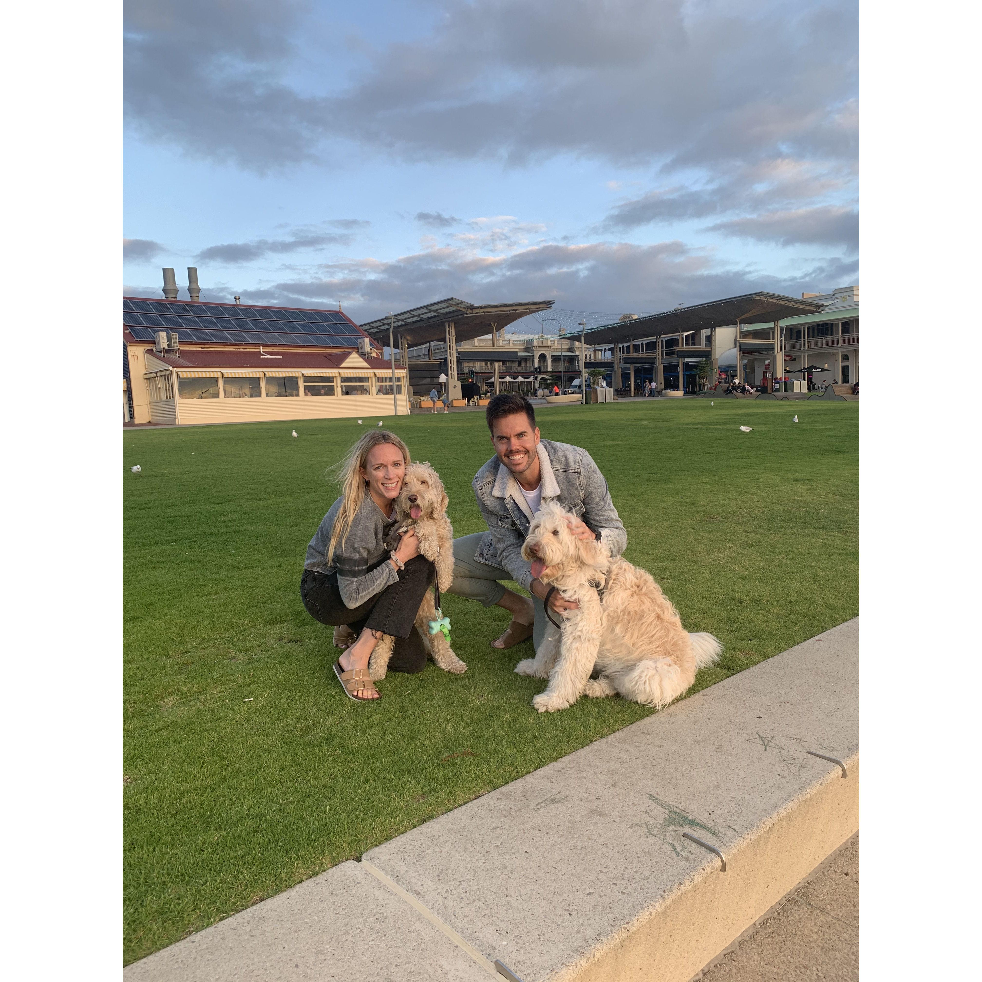 One of our last days in Adelaide, Australia, with our adopted fur babies. Adelaide will forever hold a special place in our hearts.