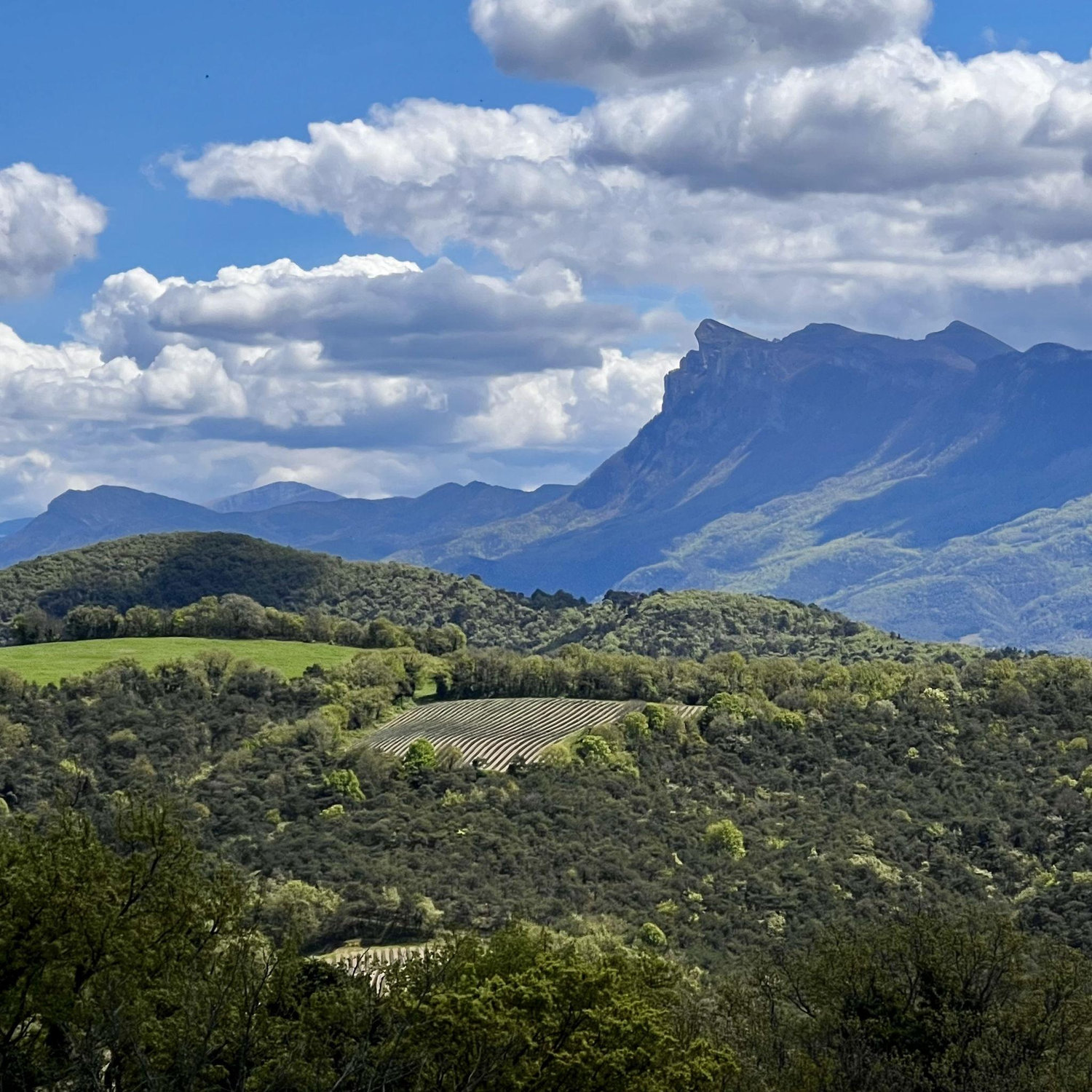 Vallée de la Drôme - ALC